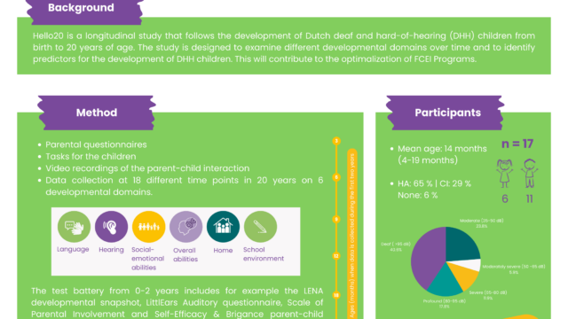 Poster Hello20 FCEI 2024